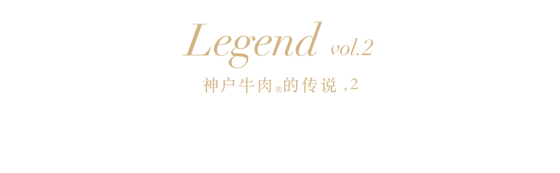 Legend vol.2