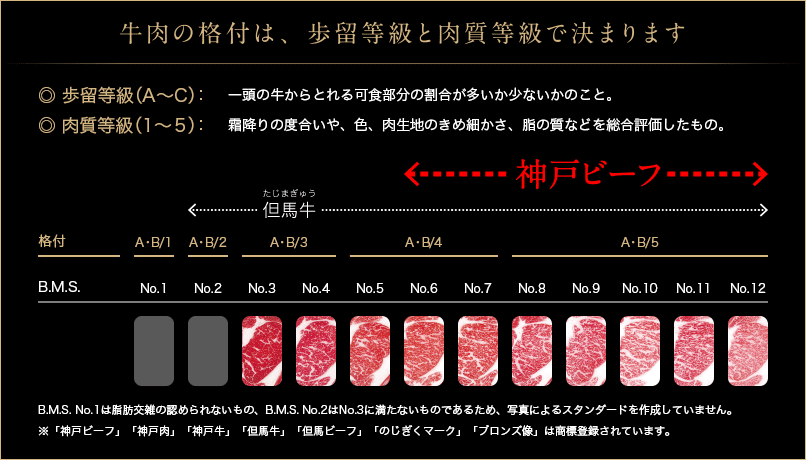 牛肉の格付は、歩留等級と肉質等級で決まります