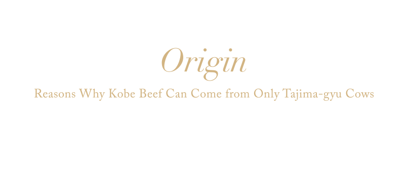 Origin