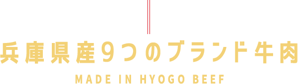 兵庫県産9つのブランド牛肉MADE IN HYOGO BEEF