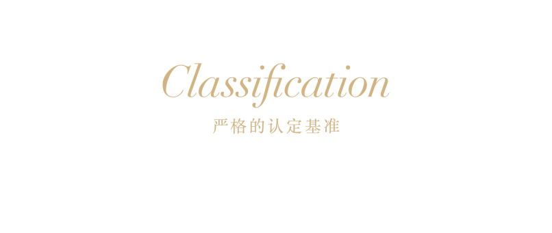 Classification