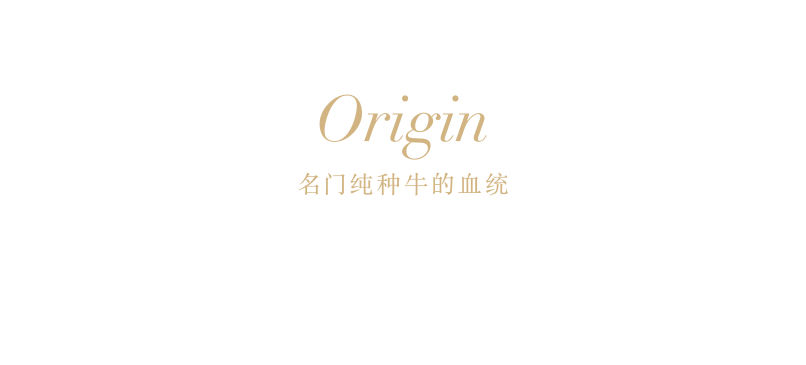 Origin