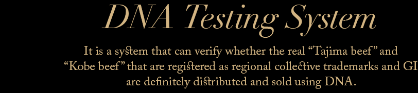 DNA Testing System