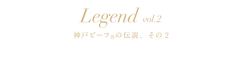 Legend vol.2