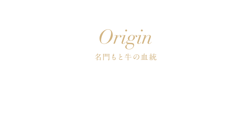 Origin 名門もと牛の血統「但馬牛」