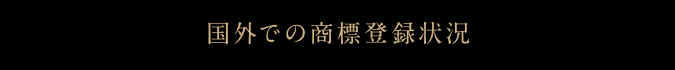 国外での商標登録状況