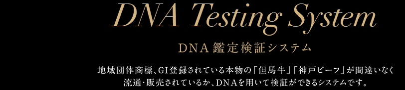 DNA Testing System | DND鑑定検証システム