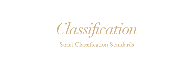 Classification