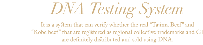 DNA Testing System